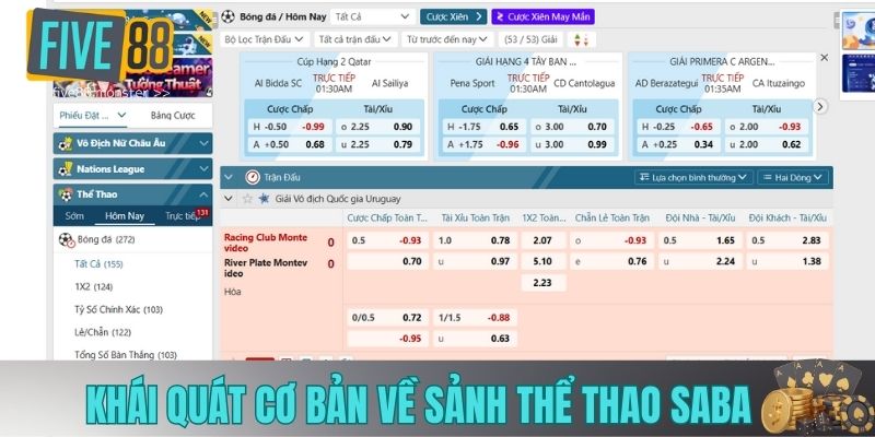 Khái quát cơ bản về sảnh thể thao saba