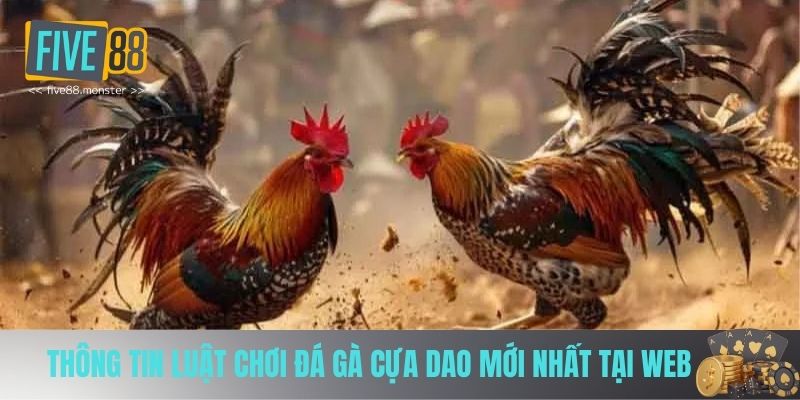 Luật chơi đá gà cựa dao